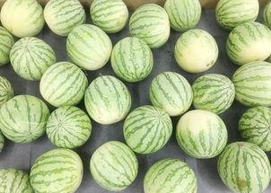 真实案件吃瓜,揭秘一起震惊社会的真实案件