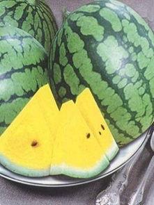 东台吃瓜事件视频,一场网络热议的真相揭秘