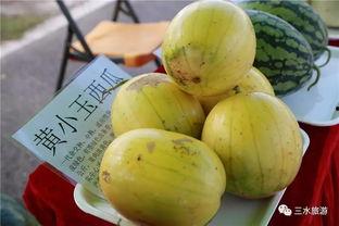 甜宝瓜怎么吃,解锁美味新体验