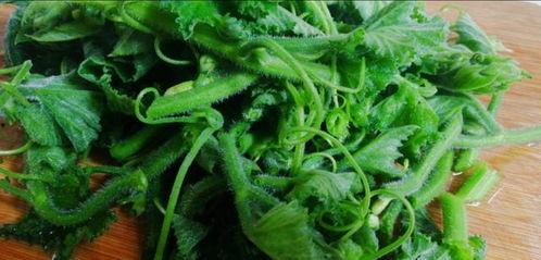 缠花叶子吃瓜,探寻传统美食的奥秘