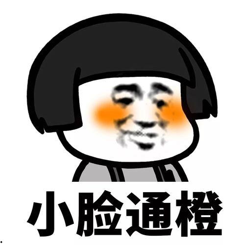 今天没有在吃瓜,静享时光