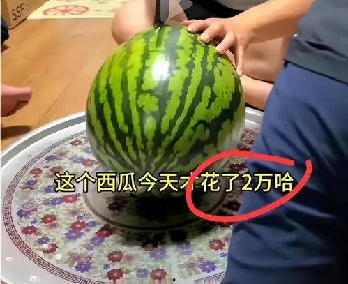 韩国人吃小瓜还是大瓜