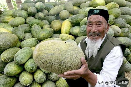 吃哈密瓜寓意,哈密瓜带来的吉祥与幸福