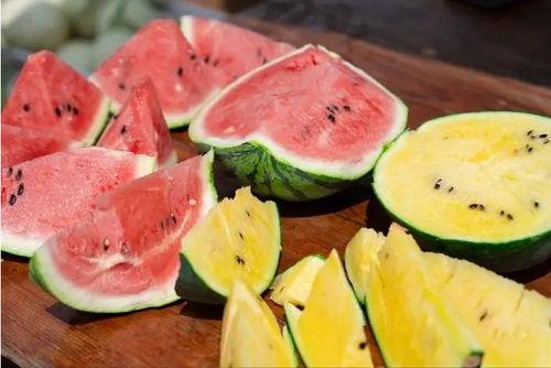 专业吃瓜者,专业吃瓜者的深度剖析