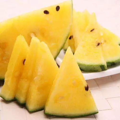 广西一中吃瓜,揭秘校园里的“瓜田”风云