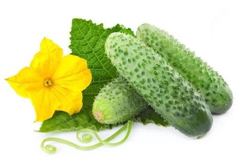 林念念吃瓜系统