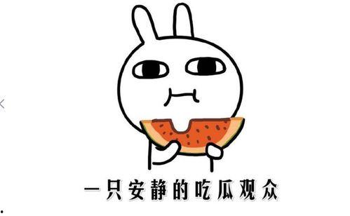 网上热门事件吃瓜,揭秘近期热门吃瓜事件背后的真相