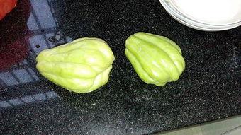 八兔儿瓜怎么吃,八兔儿瓜的多样食法探索