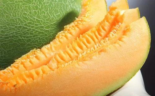 蜜瓜几月吃的,尽享清凉甜蜜时光