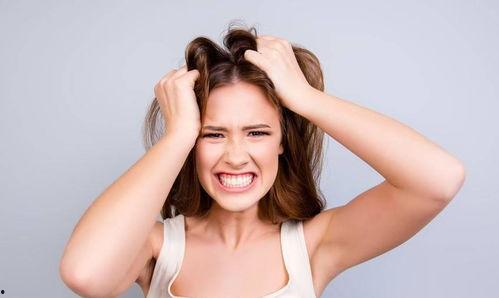 吃瓜少女暴脾气,揭秘网络舆论场的风云变幻