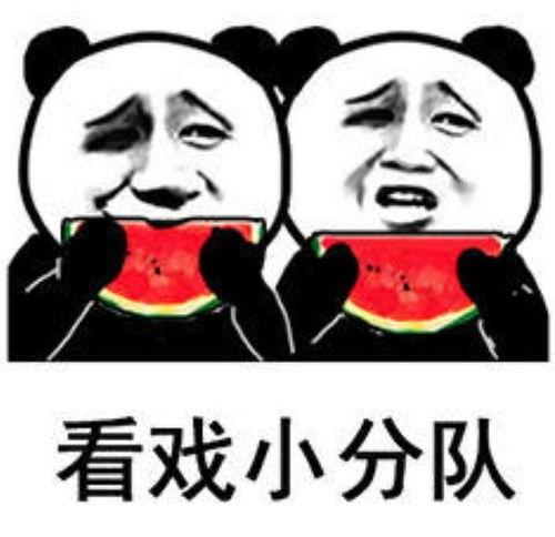 吃瓜表情包鳄鱼,趣味横生的网络潮流