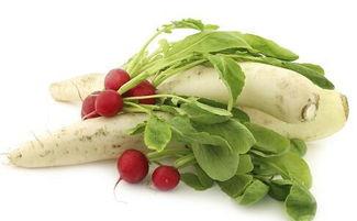 冬吃萝卜夏吃瓜的含义,冬萝卜夏瓜，养生之道