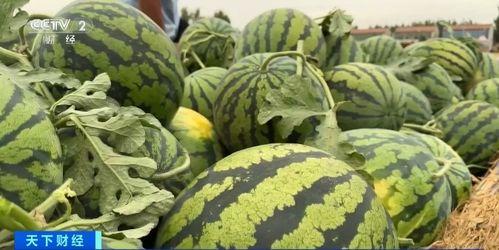 李玉媚现场吃瓜,趣味横生瞬间引网友热议