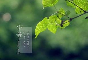 小暑节气吃瓜诗歌,古韵诗意的消暑美食之旅